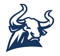 Wichita Falls Memorial High School Football